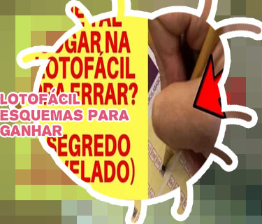 Aplicativo para ganhar na lotofacil